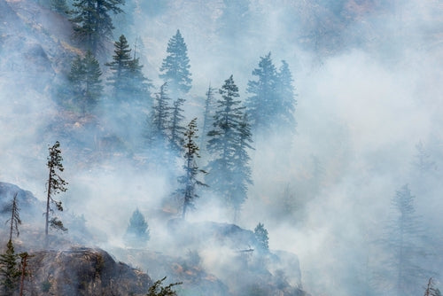 18-Year-Old Uses Tracking Skills to Guide Hikers to Safety Amid Wildfire